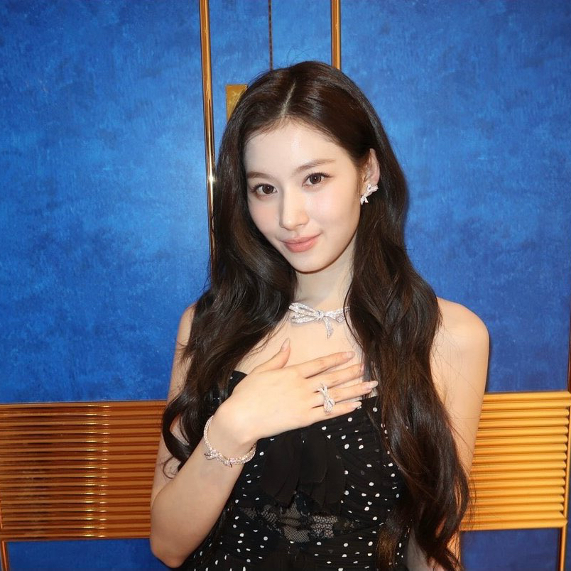 サナ (TWICE)の最近の活動写真