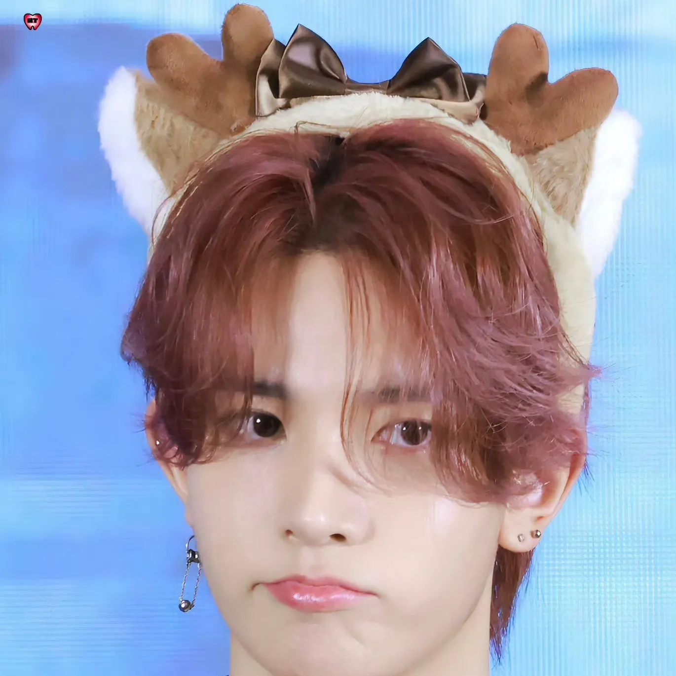 희승 팬이 찍은 순간