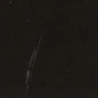 金佳蓝的最新活动照片