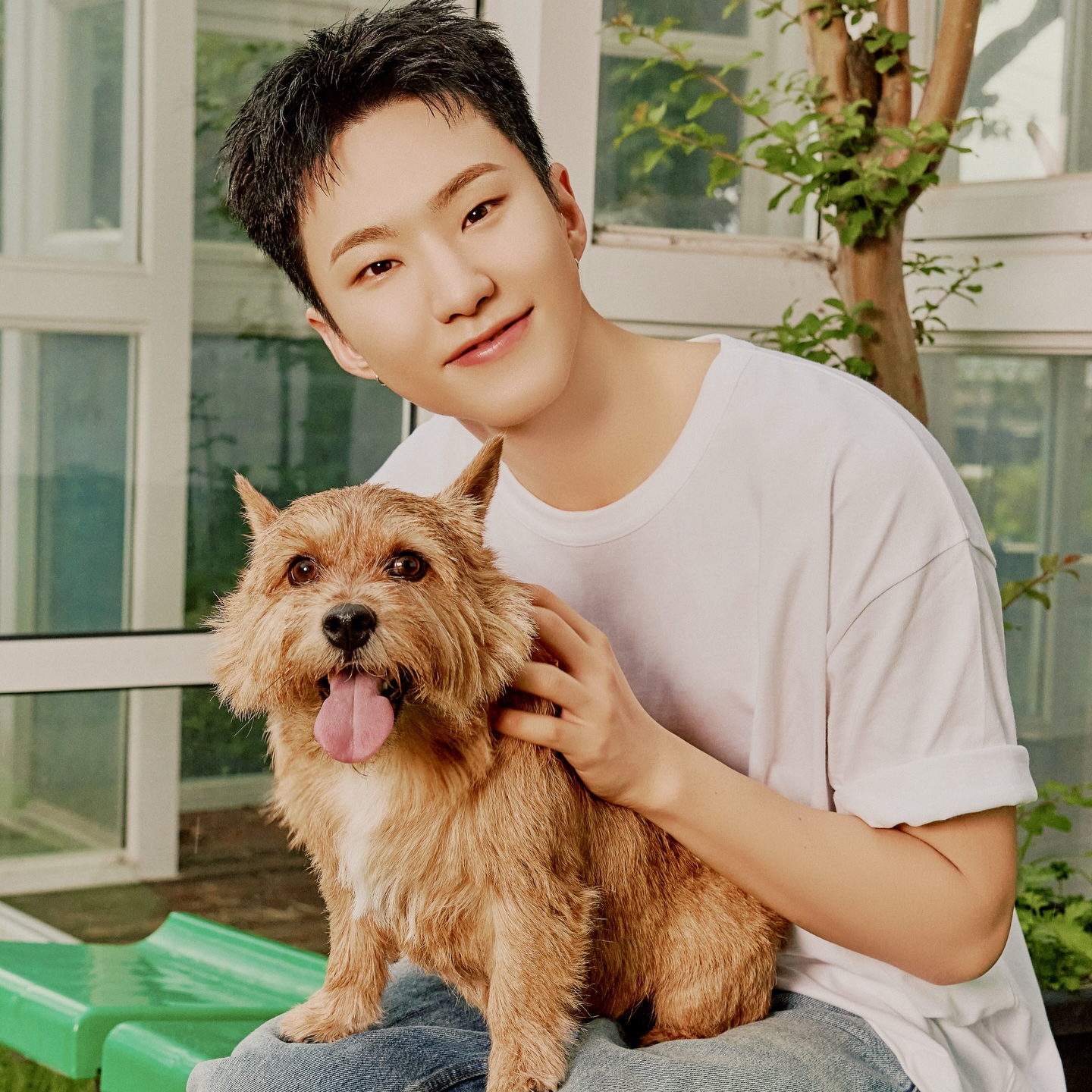 Behind-the-scenes cut of Hoshi (SEVENTEEN)