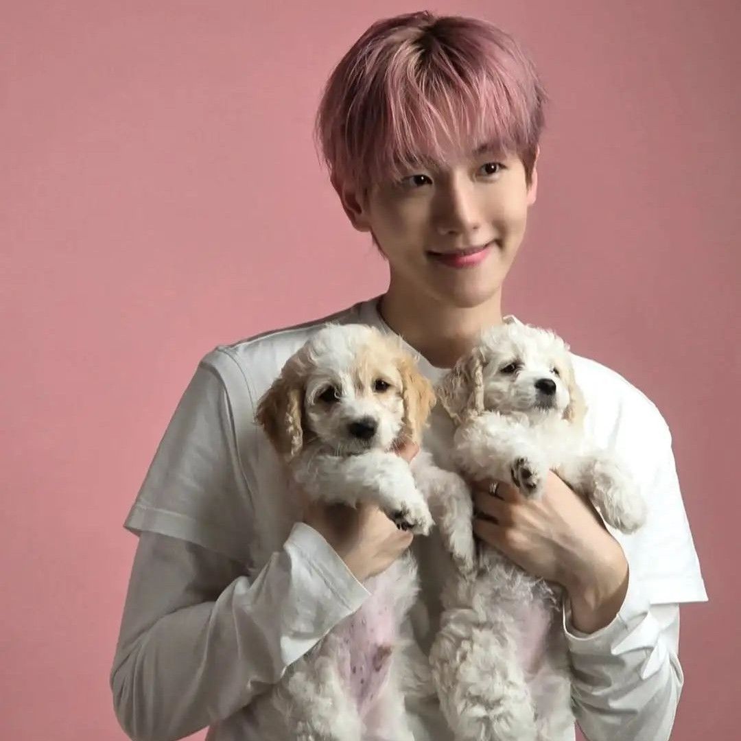 Latest photo of EXO