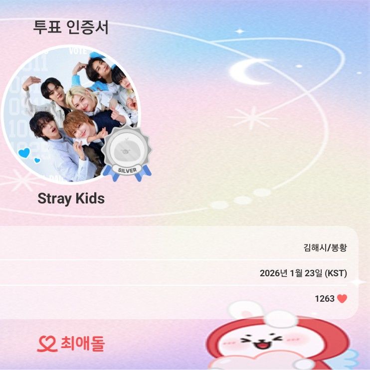 Stray Kids 팬이 찍은 순간