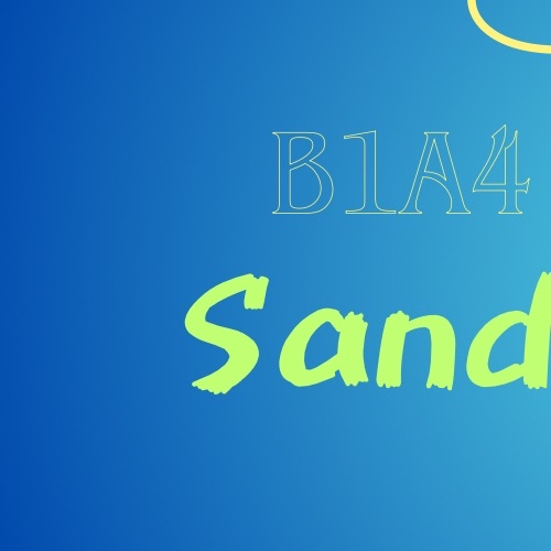 サンドゥル (B1A4)ファンが撮った瞬間