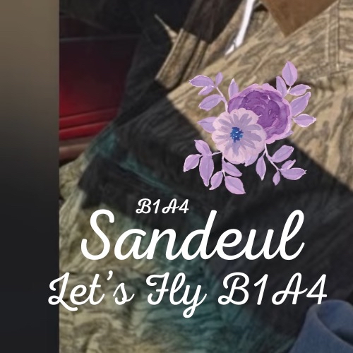 サンドゥル (B1A4)の舞台裏ショット