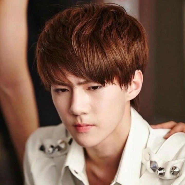 世勳 (EXO)粉絲拍下的瞬間