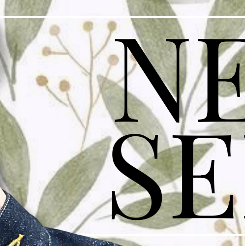 Recent activity shot of Seita (NEXZ)