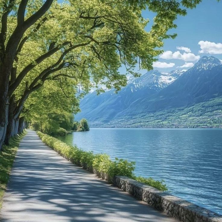 ジェニー (BLACKPINK)ファンが撮った瞬間