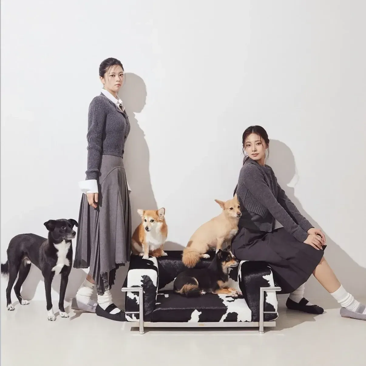 TWICE 팬이 찍은 순간