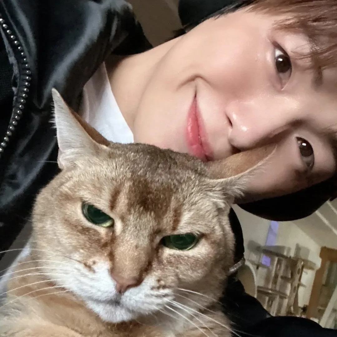 Foto aktivitas terbaru Kang Daniel