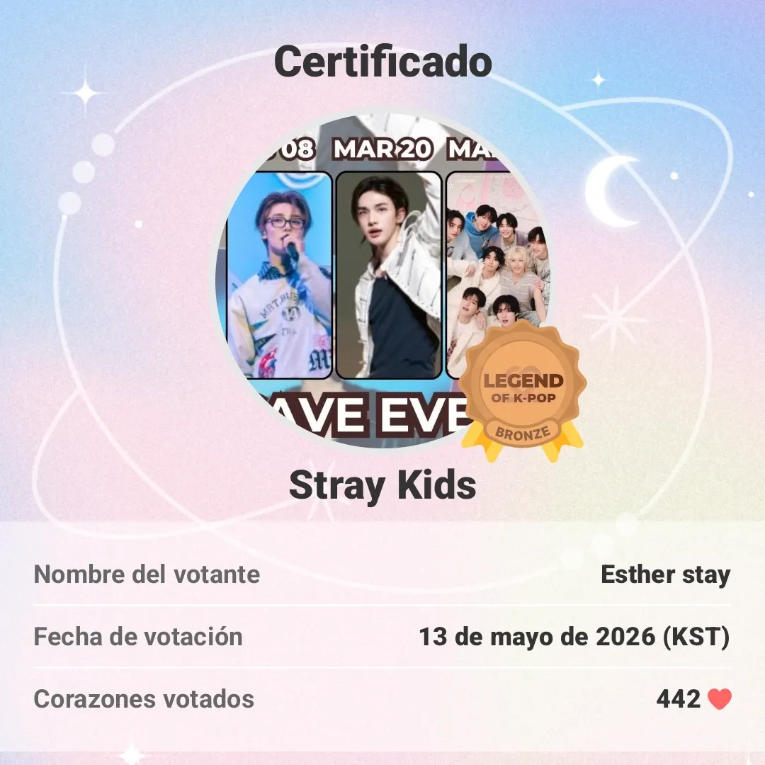 Stray Kids 팬이 찍은 순간
