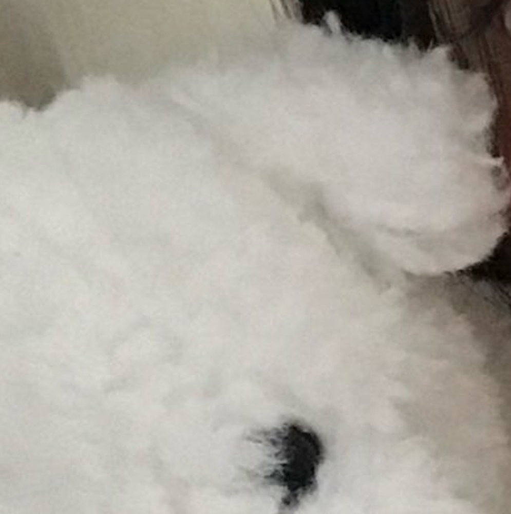 Latest photo of Go Won (Loossemble)