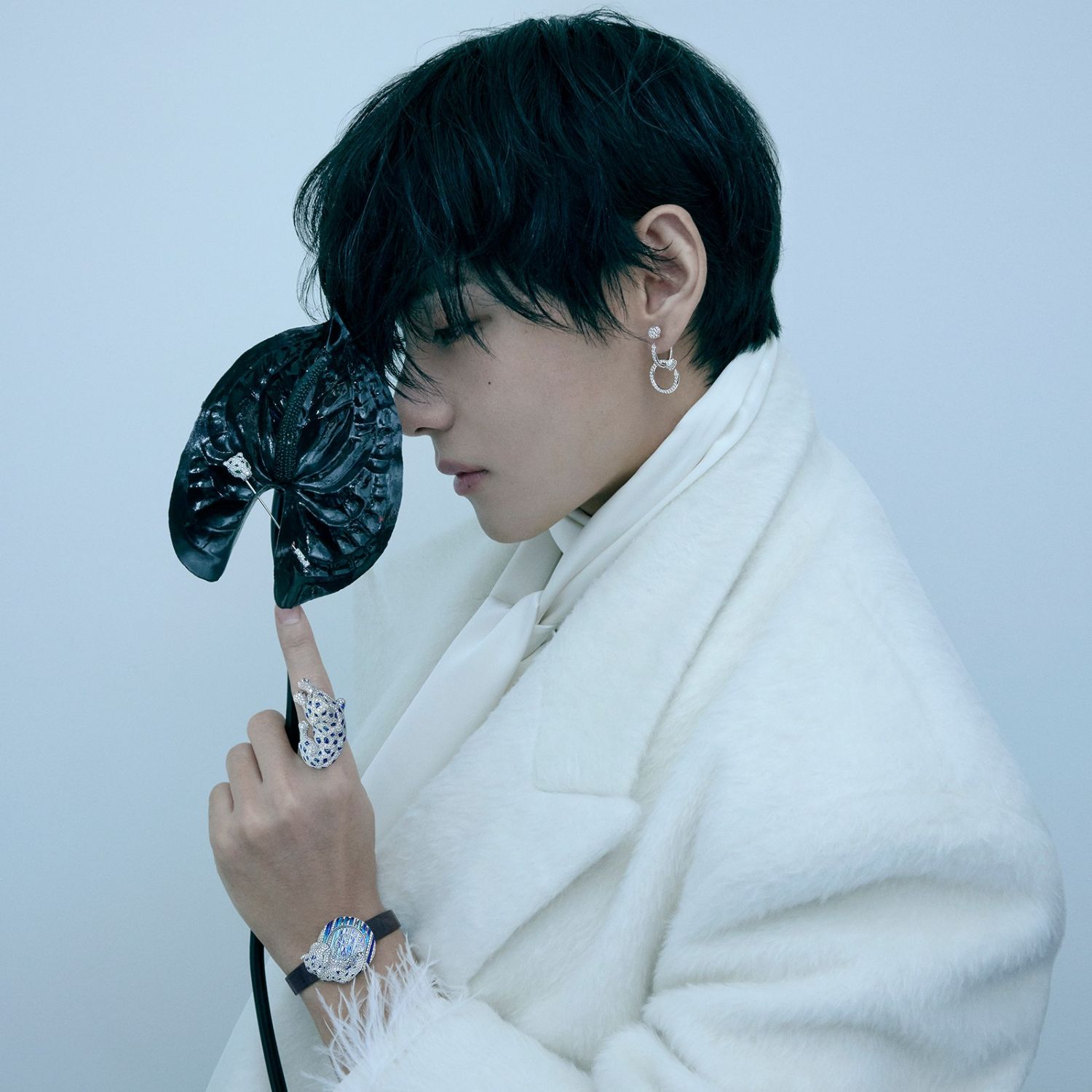 방탄소년단 팬이 찍은 순간