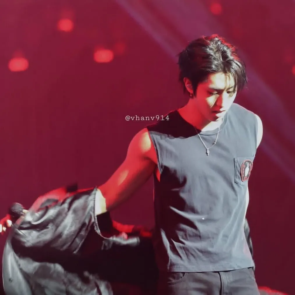 A moment captured by HAN (Stray Kids)'s fan