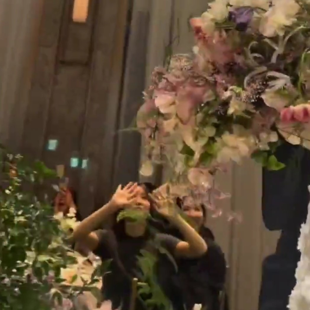 Latest photo of Momo (TWICE)