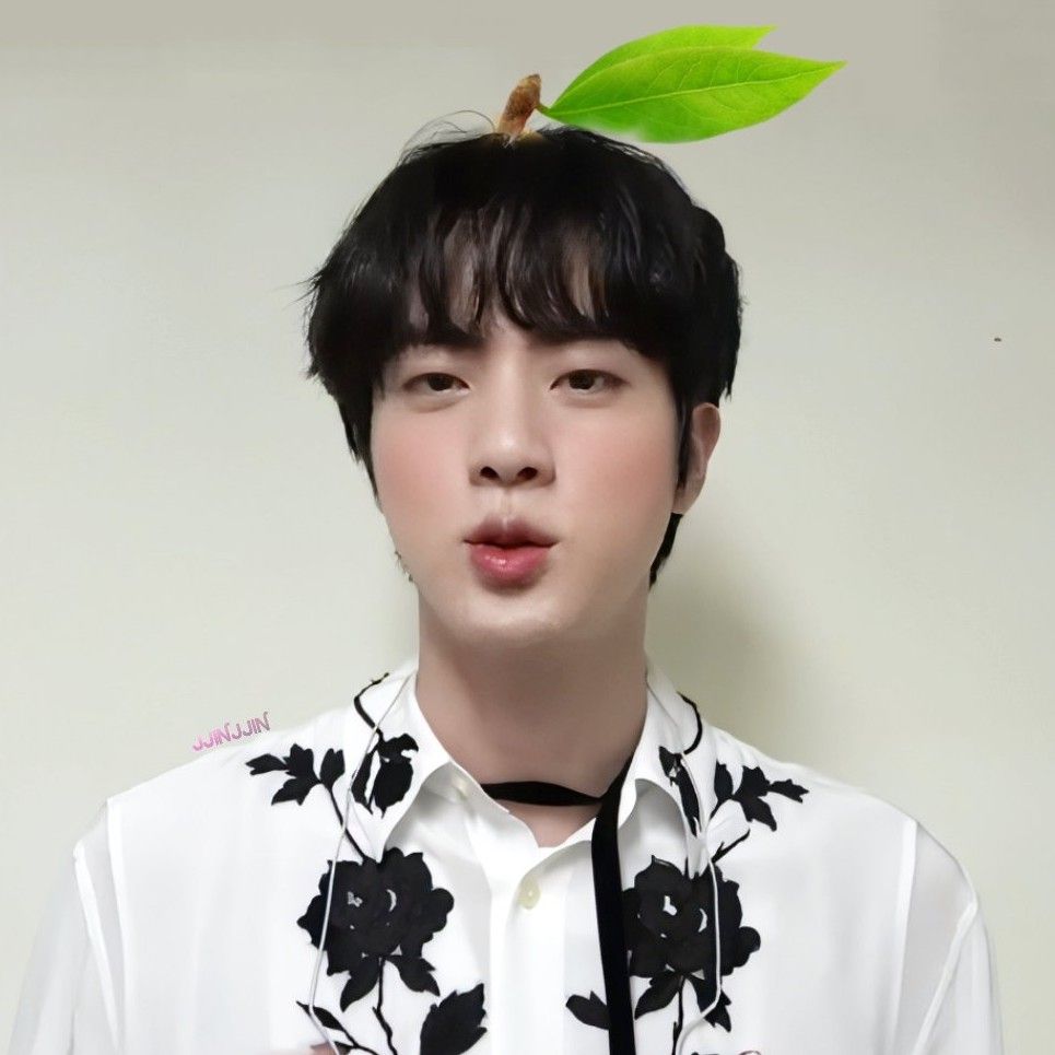 Behind-the-scenes cut of Jin (BTS)