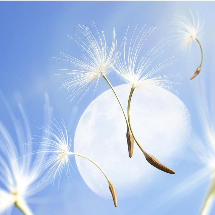 A moment captured by Moonbin (ASTRO)'s fan