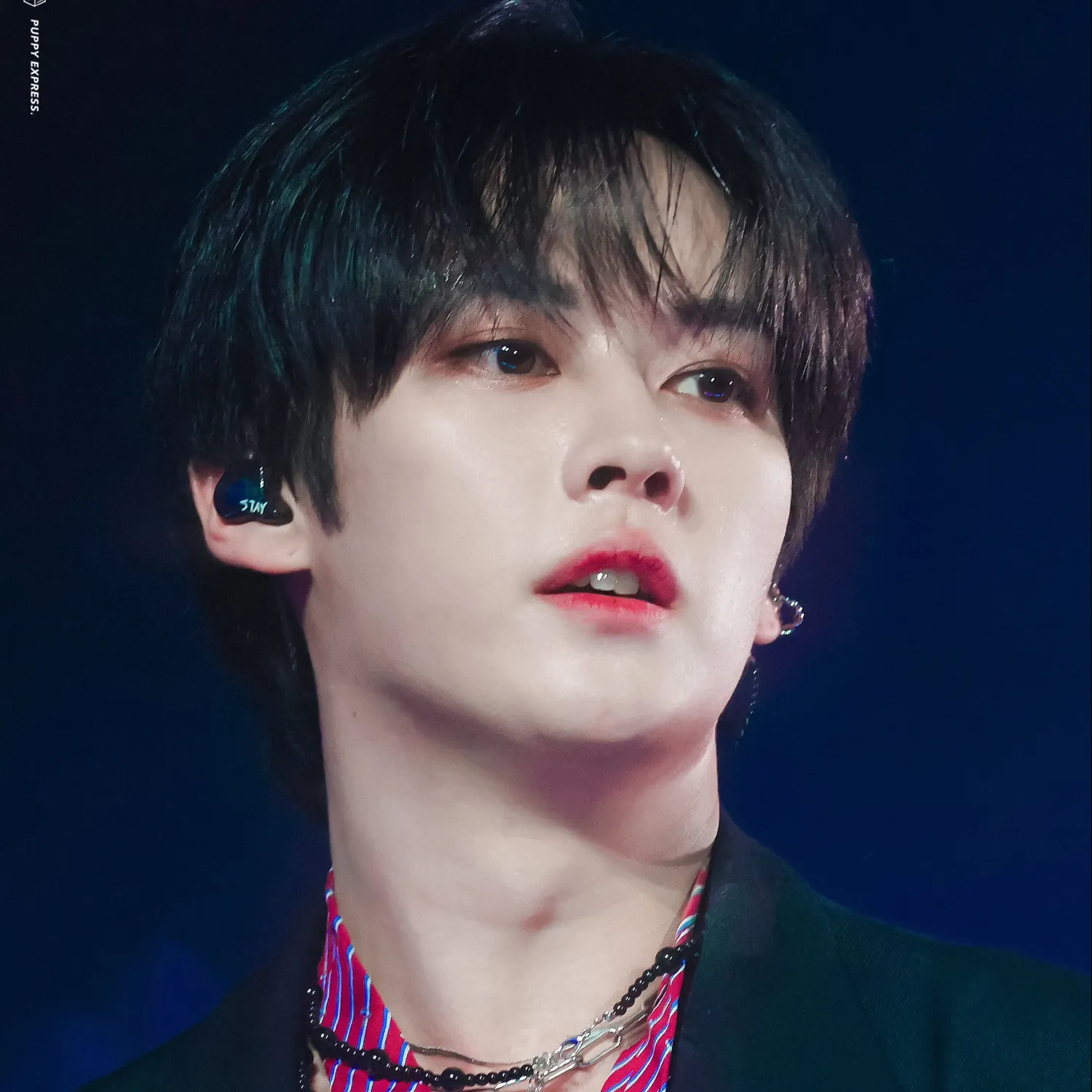 A moment captured by Lee Know (Stray Kids)'s fan