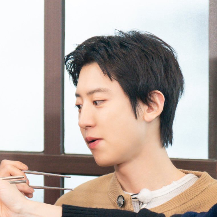 燦烈 (EXO)的最新照片