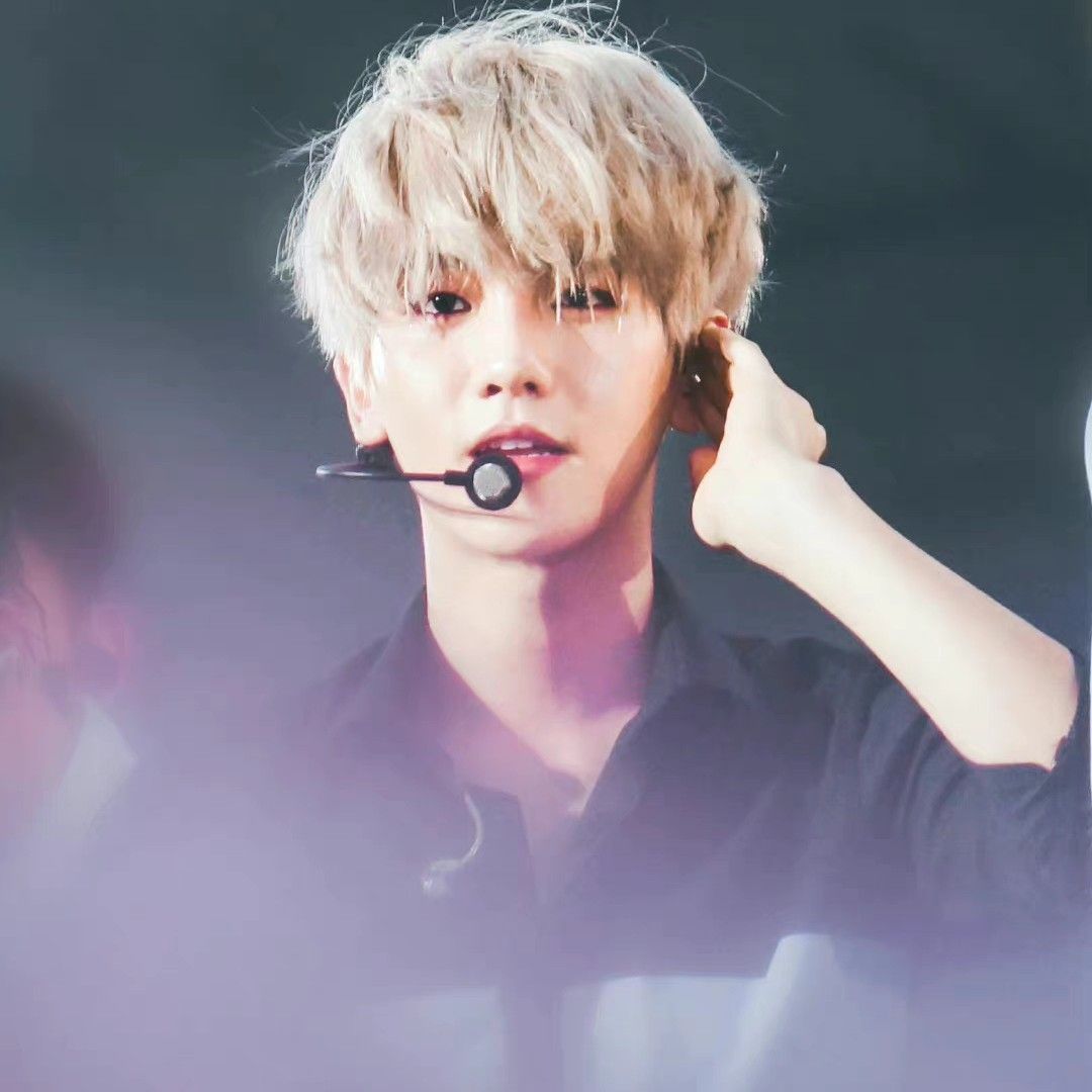 백현 (EXO) 팬이 찍은 순간