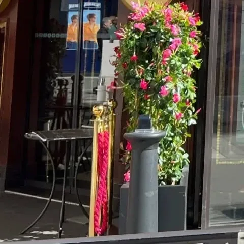 MAMAMOOの最近の活動写真