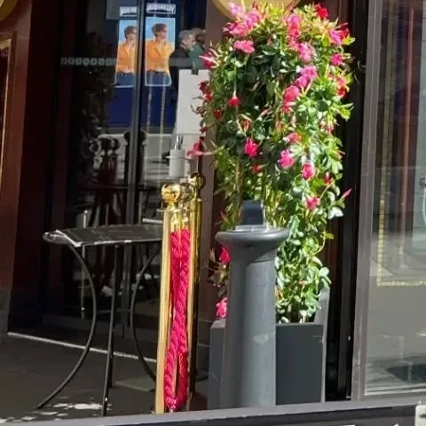 捕捉到MAMAMOO魅力的代表照片