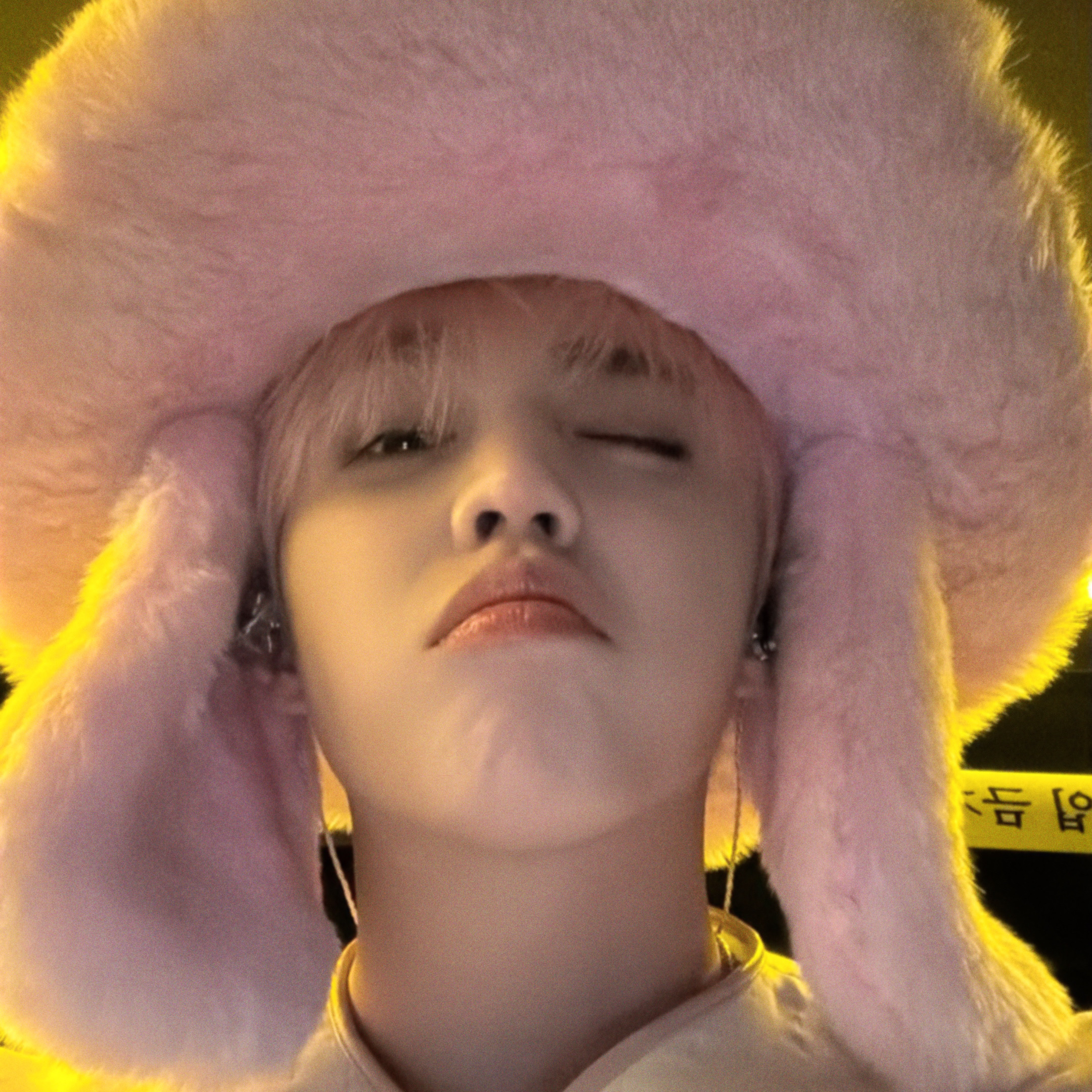 세븐틴 팬이 찍은 순간