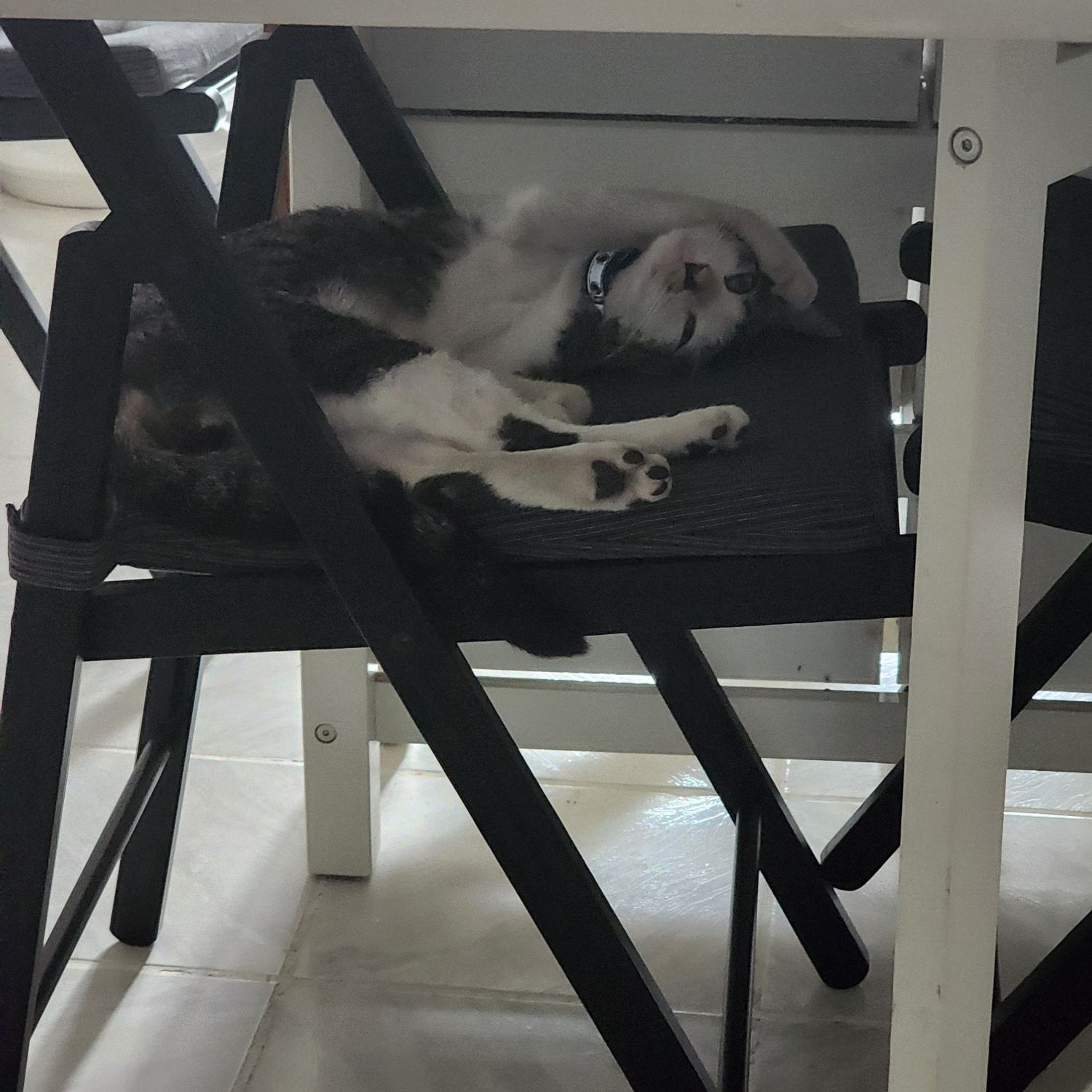 Momen yang diabadikan oleh penggemar SEVENTEEN