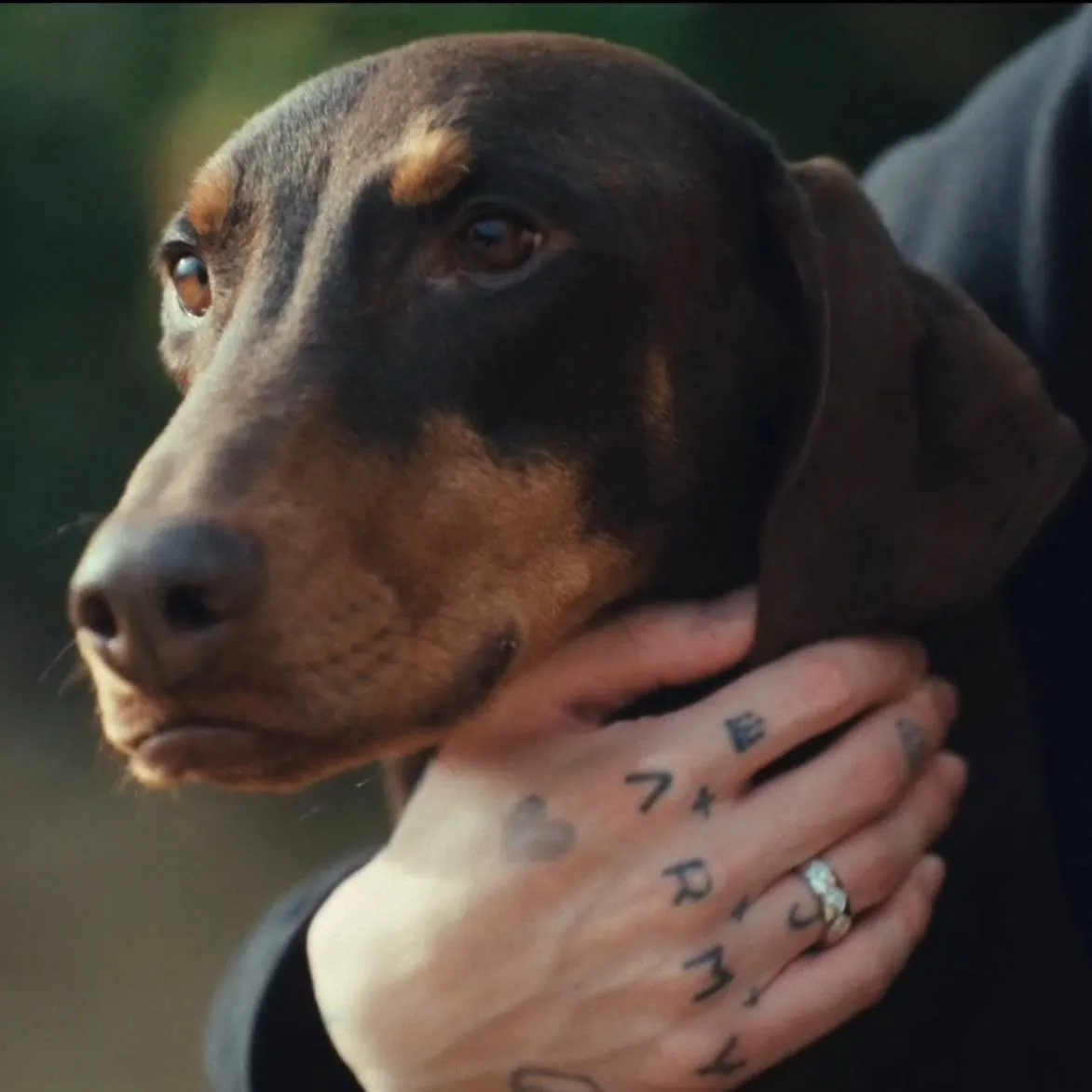 ジョングク (BTS)の最新写真