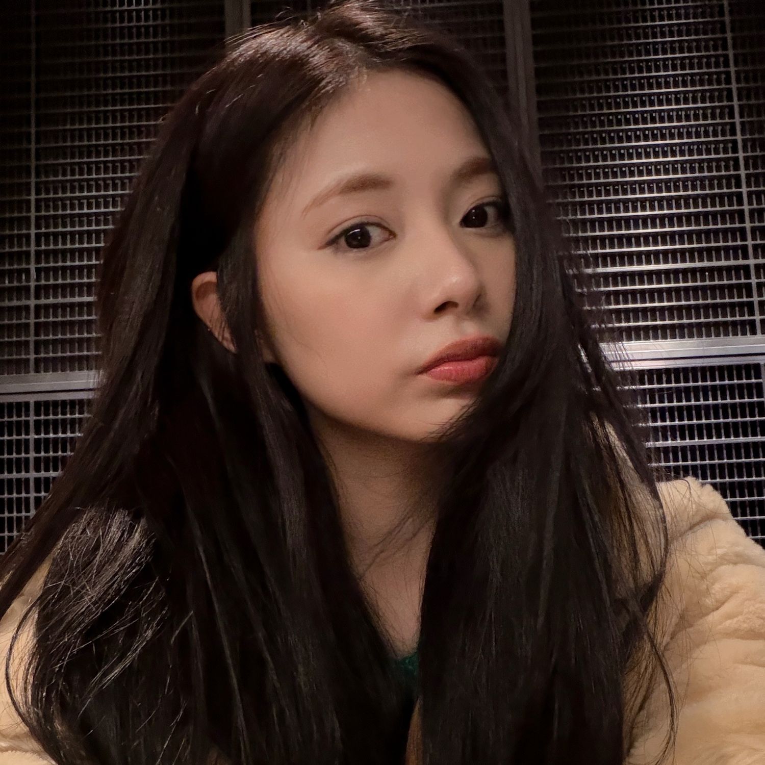 쯔위 (TWICE) 팬이 찍은 순간