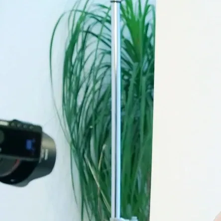 Latest photo of OH MY GIRL