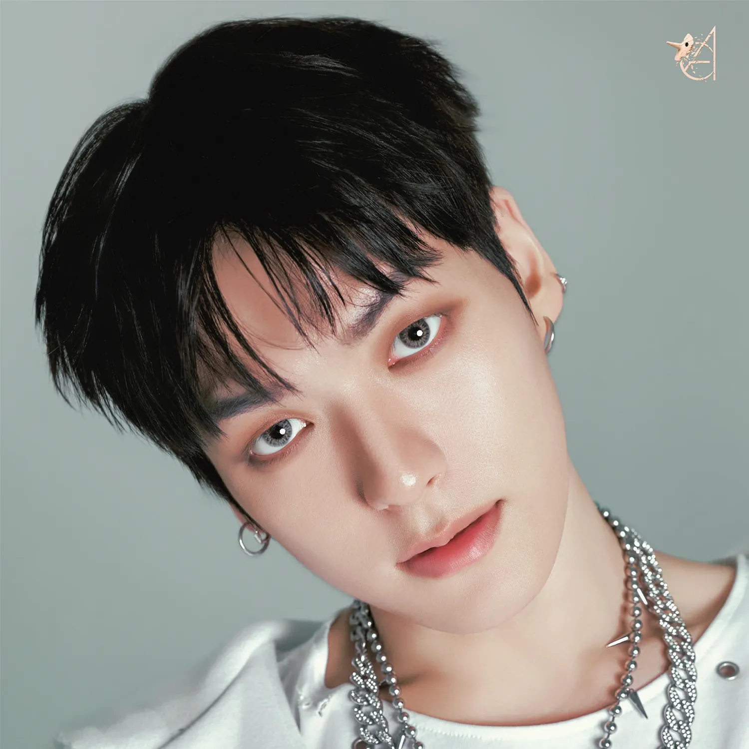 A moment captured by Wish (EPEX)'s fan