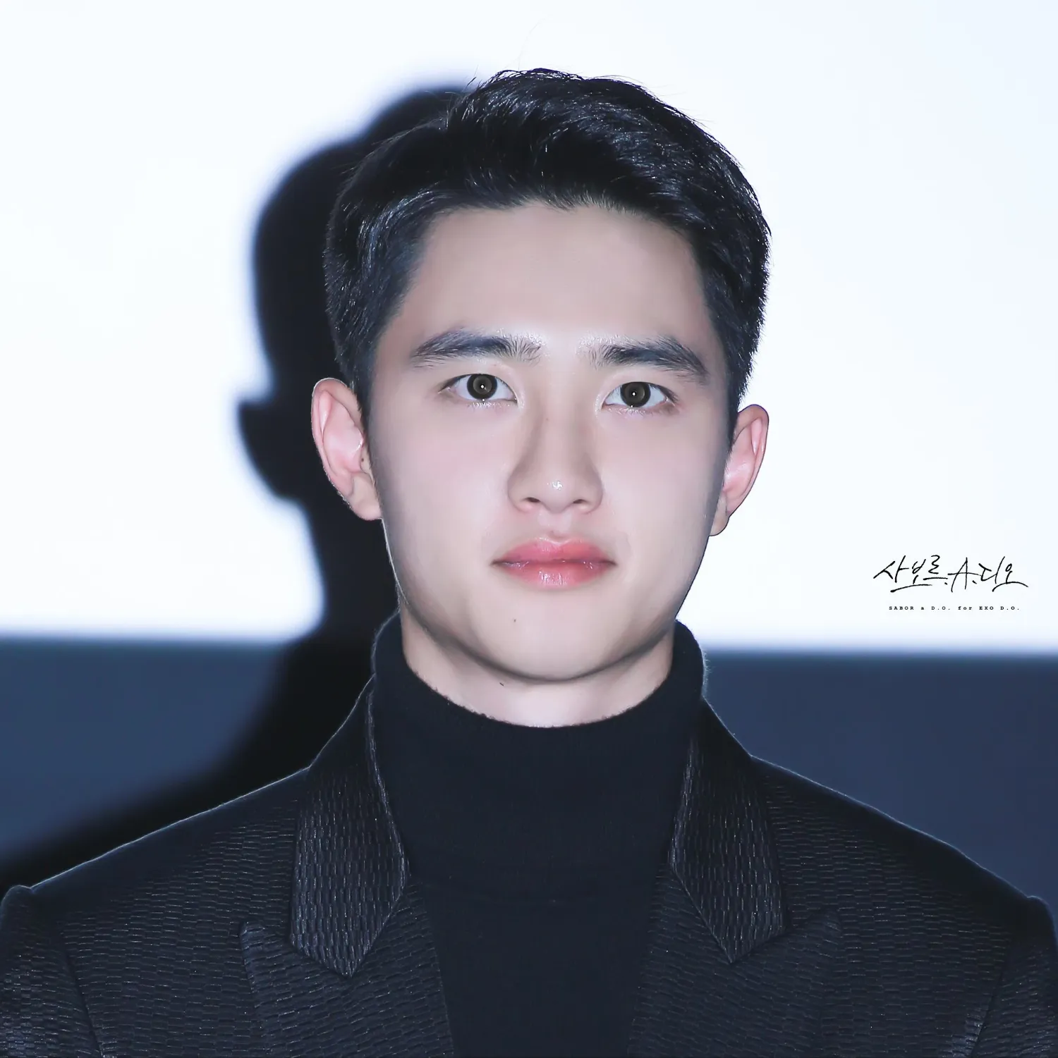 디오 (EXO) 팬이 찍은 순간