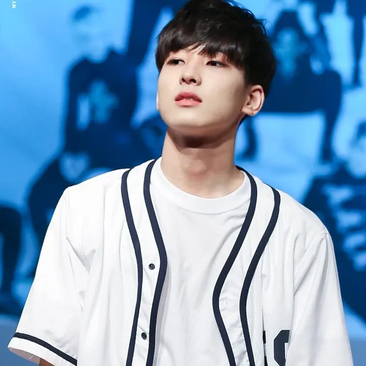 Recent activity shot of Wonwoo (SEVENTEEN)