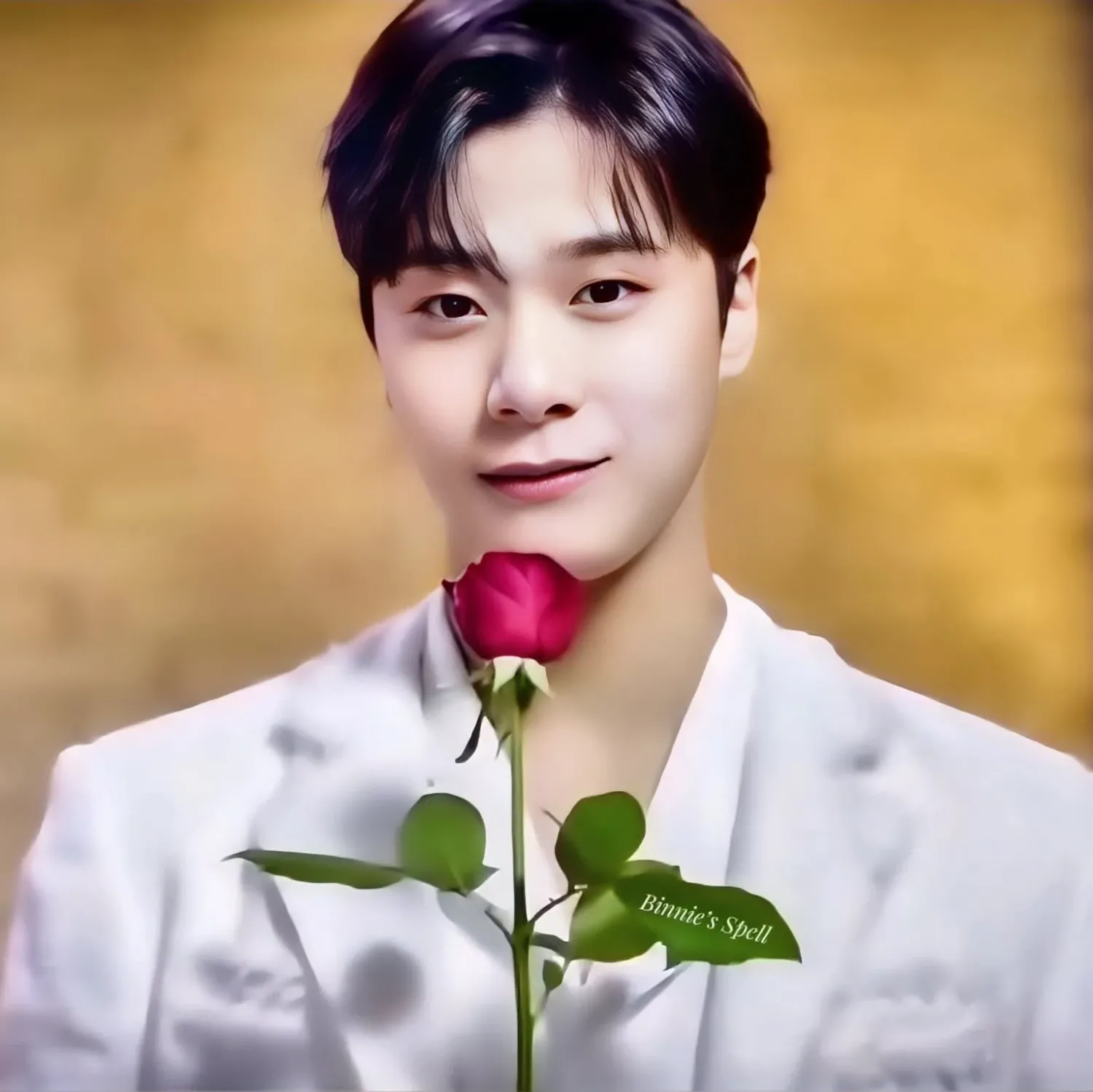 Recent activity shot of Moonbin (ASTRO)