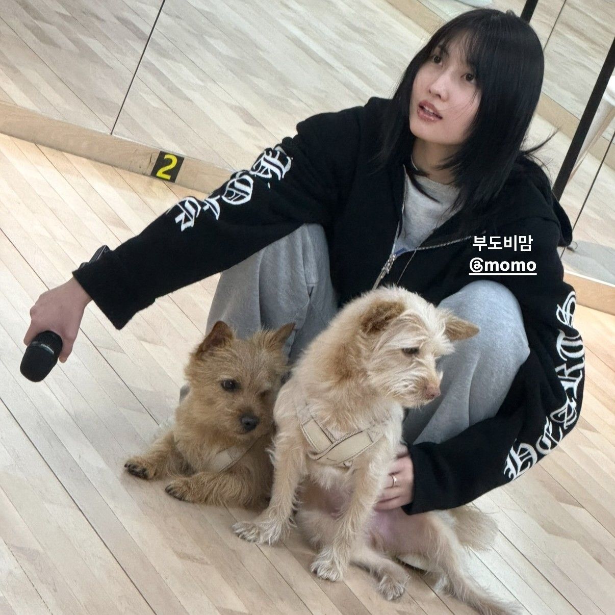 모모 (TWICE)의 최신 사진