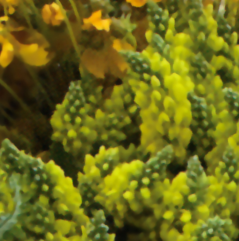 Recent activity shot of HyunJin (Loossemble)