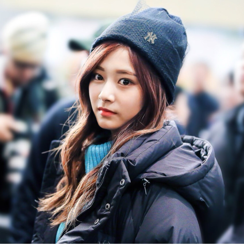 TWICE 최근 활동샷