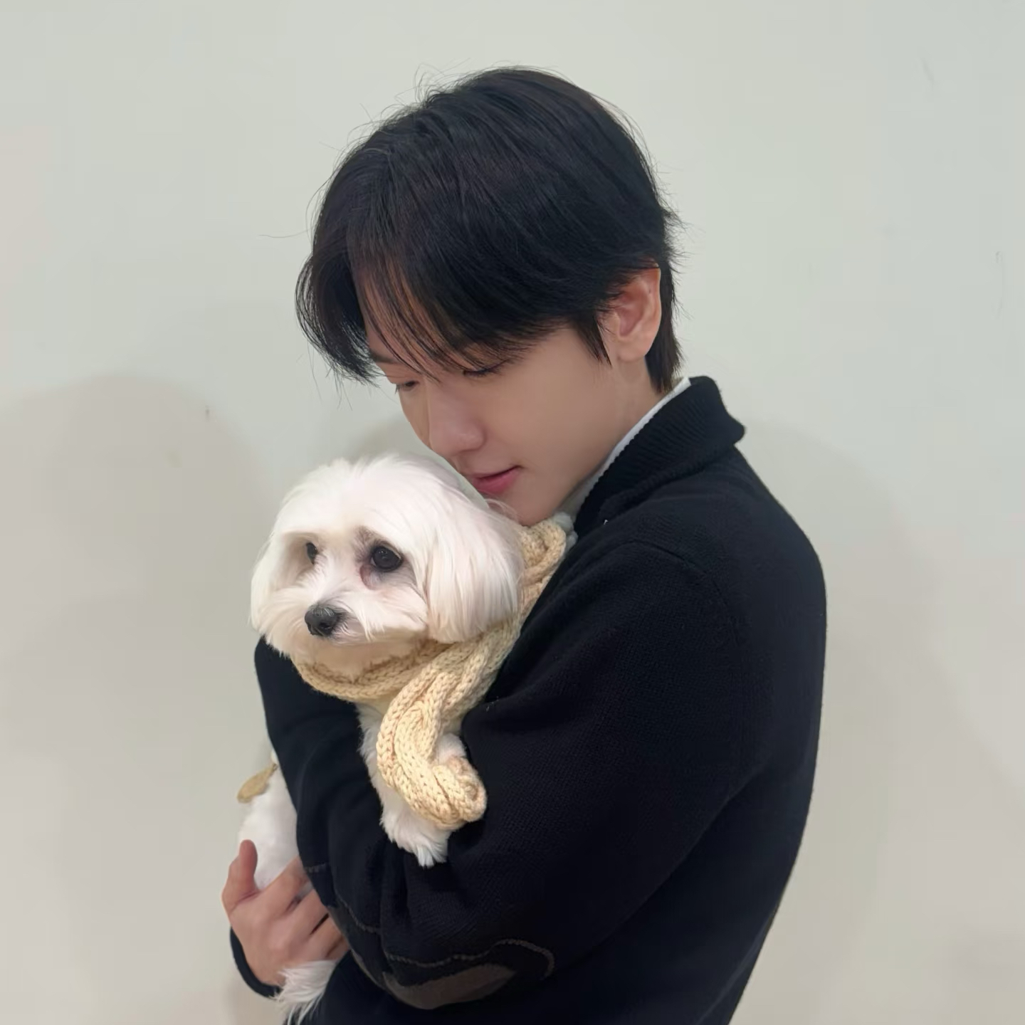 伯賢 (EXO)粉絲拍下的瞬間