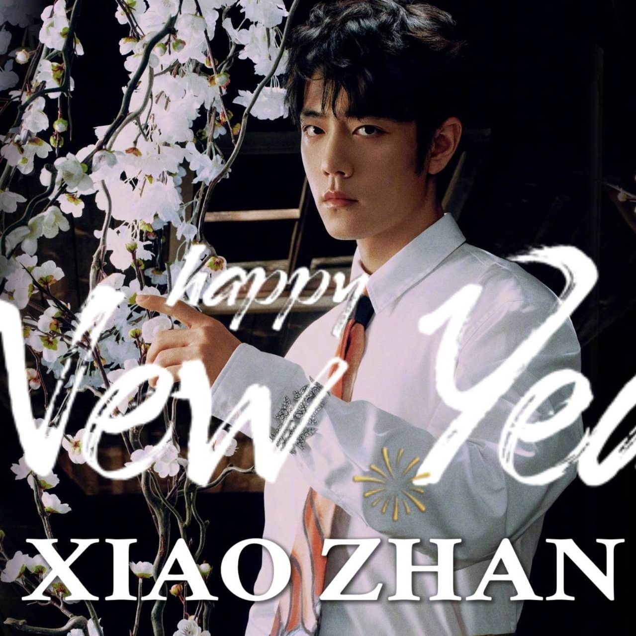 Recent activity shot of Xiao Zhan