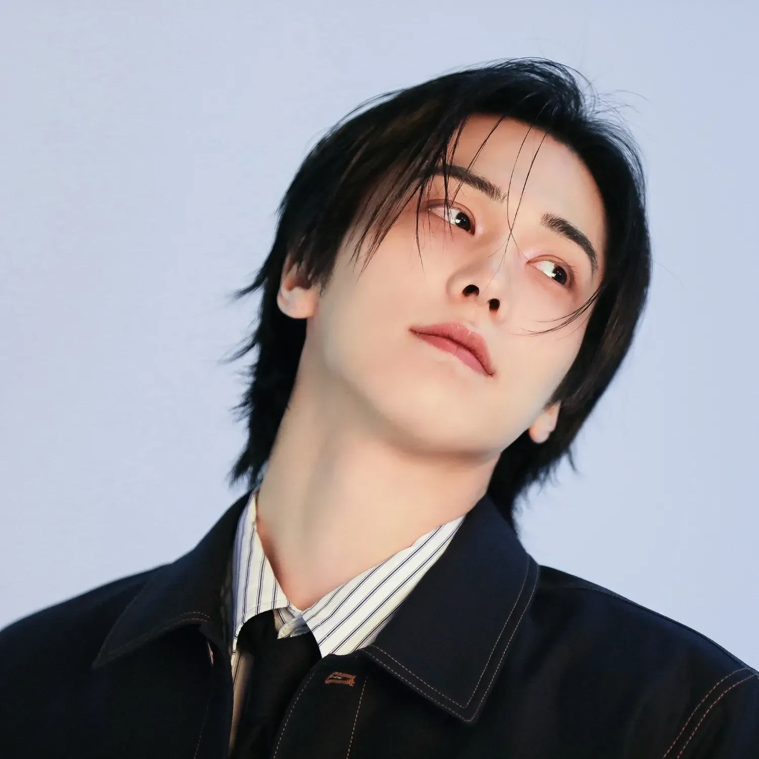 Recent activity shot of Rocky