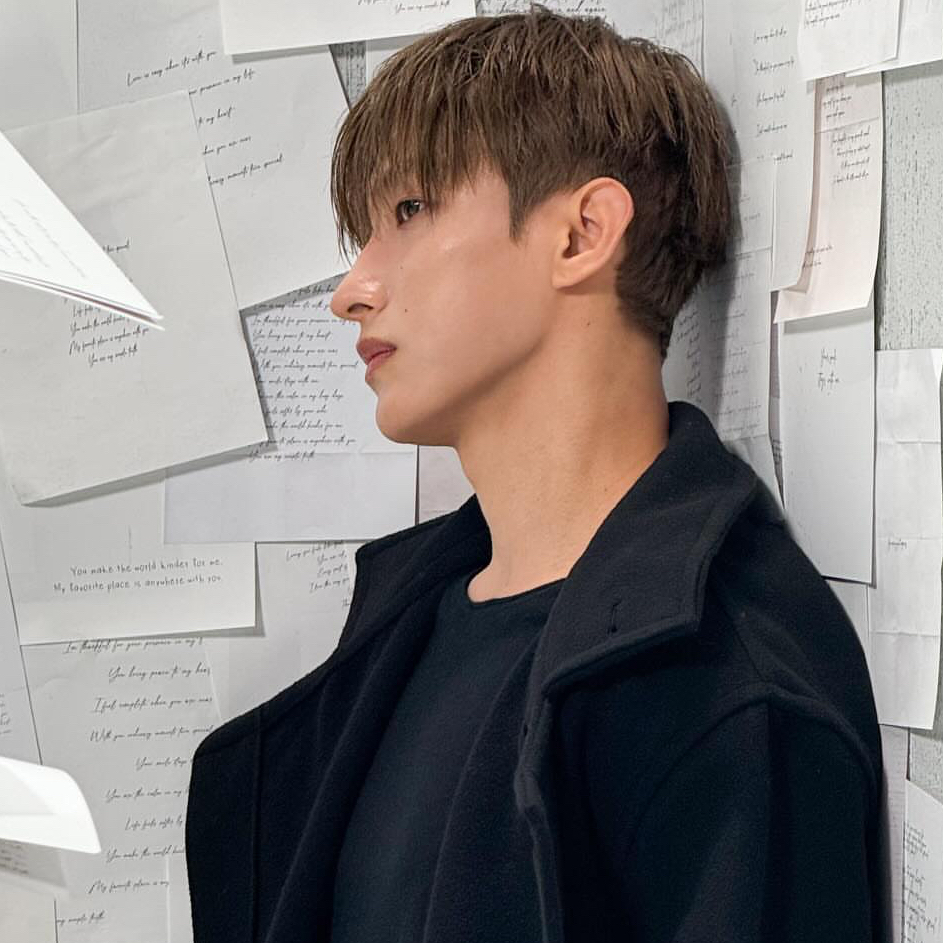 DK (SEVENTEEN)粉絲拍下的瞬間