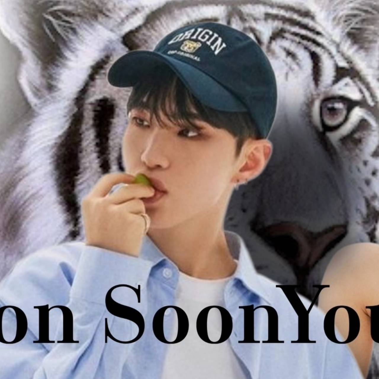 A moment captured by Hoshi (SEVENTEEN)'s fan