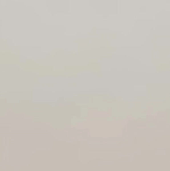 今天在最愛偶像中閃耀的肖戰代表照片