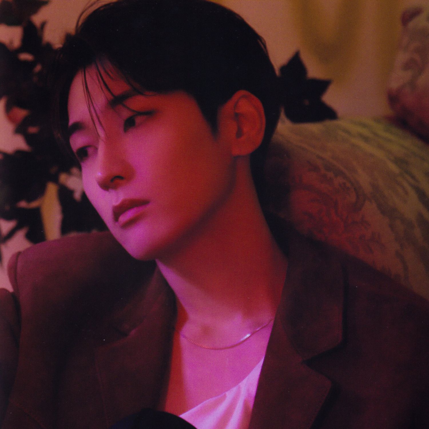 SEVENTEEN的最新活動照片