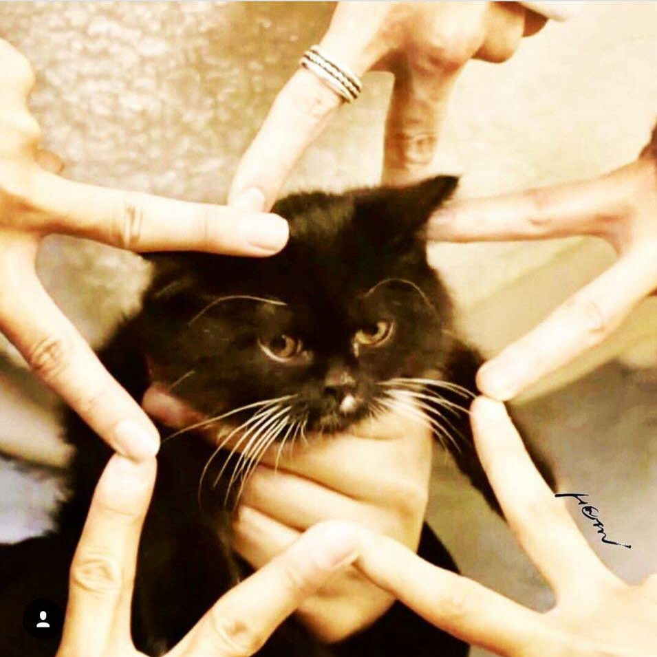 A moment captured by SECHSKIES's fan