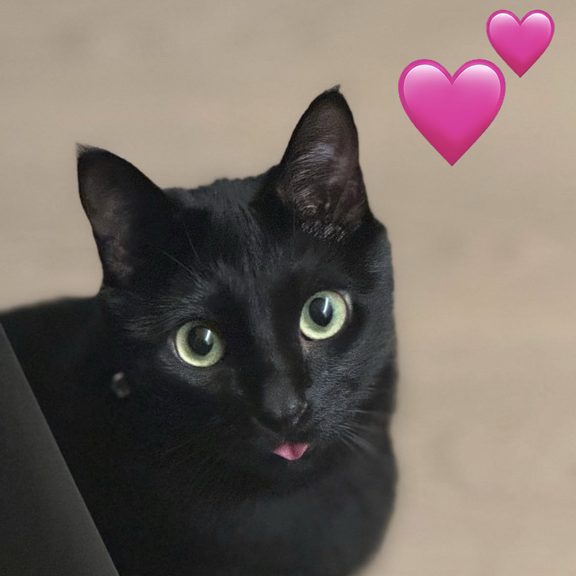 SUGA (BTS)の最新写真