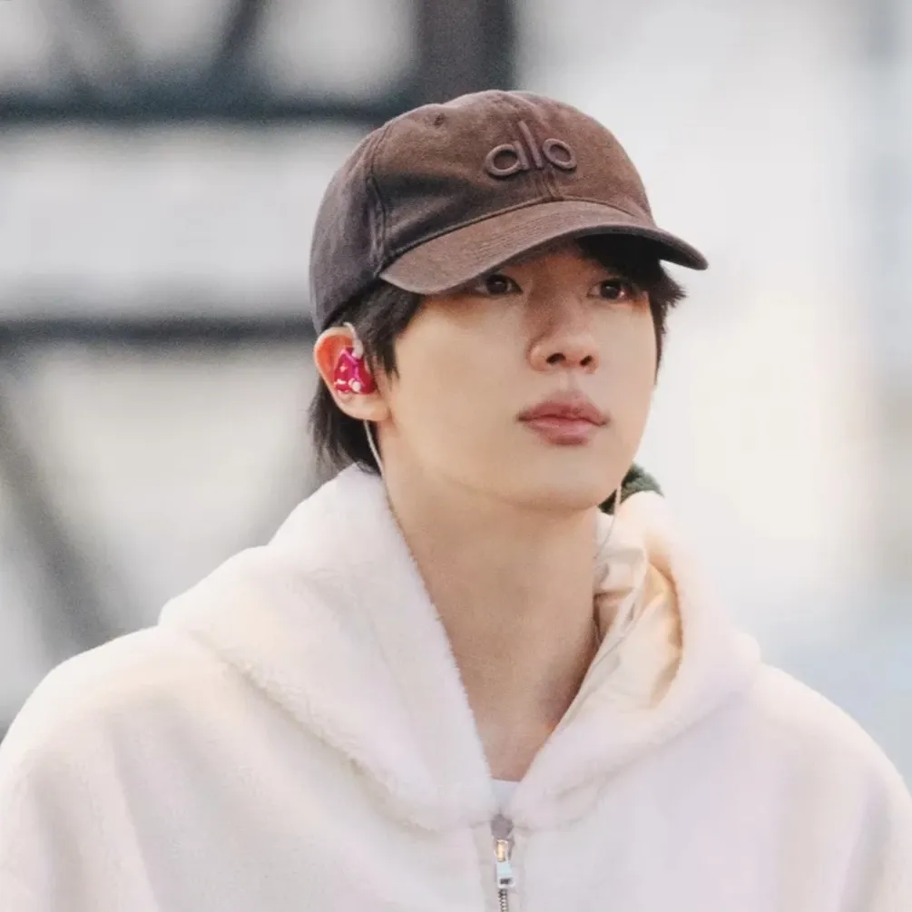 A moment captured by Jin (BTS)'s fan