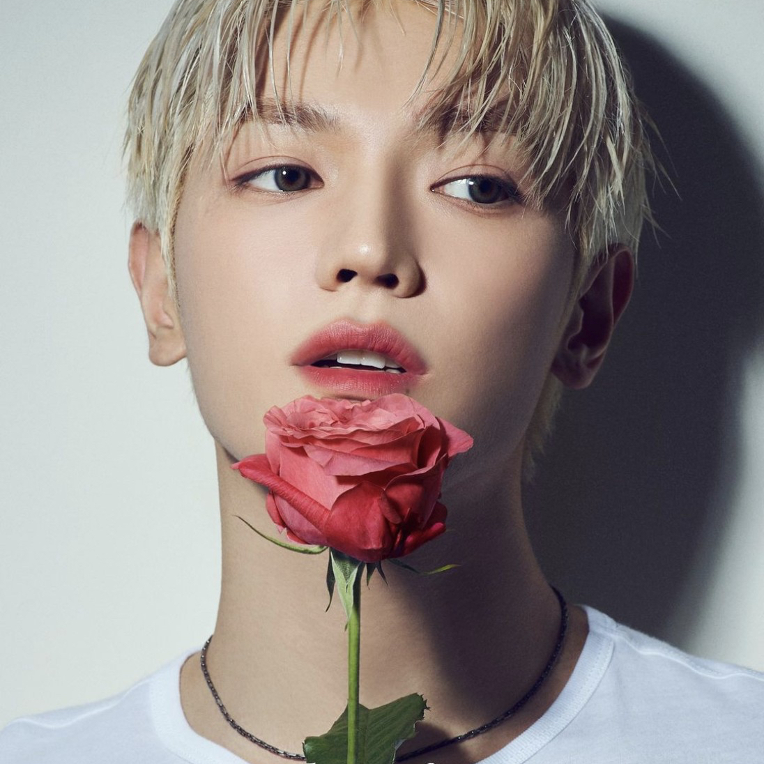 Must-see popular post of NCT, your favorite