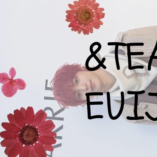 ウィジュ (&TEAM)の最新写真