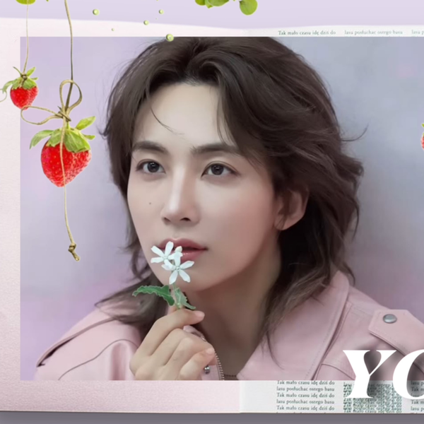 투표로 선정된 정한 (세븐틴)의 인기 프로필 이미지